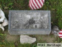 David G Podeszwa