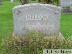 Anna L Dedicke Nelson