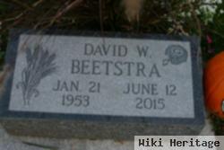 David W Beetstra