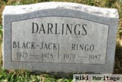 Black Jack Darlings