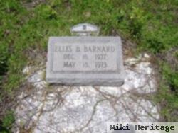 Ellis B. "buddy" Barnard