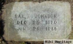 Sam M. Johnson