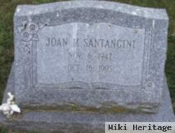 Joan M Santangini