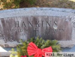 Harold William Hankins