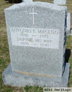 Sophie Rodgers Macedo