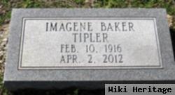 Imagene Baker Tipler