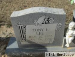 Tony L Lee