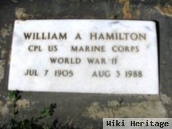 William A Hamilton