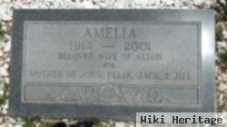 Fannie Amelia Tunnell Johnson