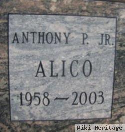 Anthony P Alico, Jr