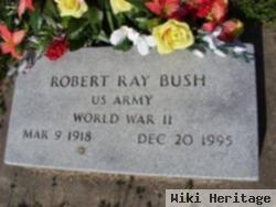 Robert Ray Bush