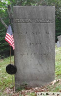 Elisha Gallup