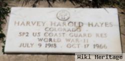 Harvey Harold Hayes