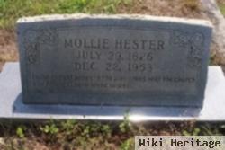 Mollie Hester