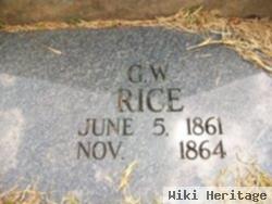 G W Rice