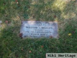 William J Moxley