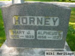 Mary J Horney