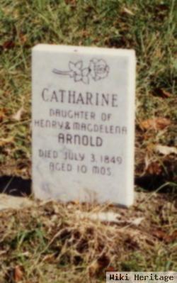 Catharine Arnold