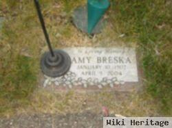 Amy Larson Breska