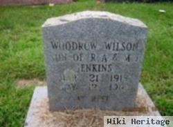 Woodrow Wilson Jenkins