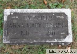 Anna Mary Jenkins