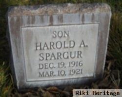 Harold Allan Spargur