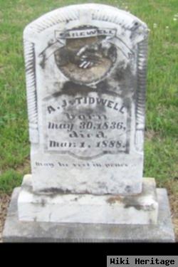 Alexander J Tidwell