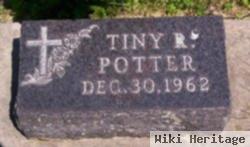 Tiny R. Potter