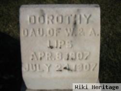 Dorothy Lips