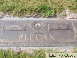 Morris Plecan