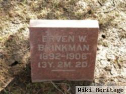 Erven W. Brinkman