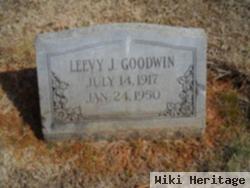 Leevy J Goodwin