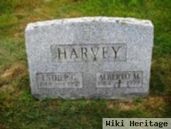 Alberto M Harvey