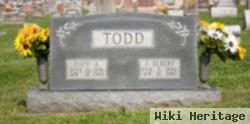 Lucy Ann Chandler Todd