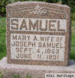 Mary Ann Asher Samuel