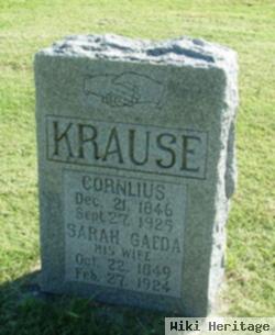 Sarah Gaede Krause