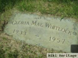 Gloria Mae Whitlock