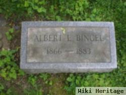 Albert E. Bingel