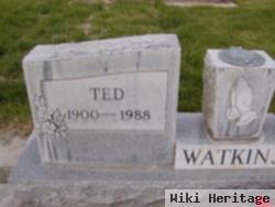 Ted Watkins