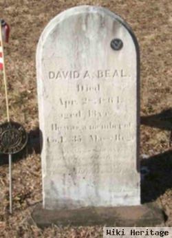 David Ansel Beal