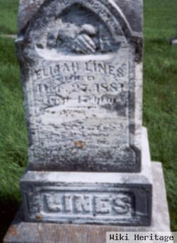 Elijah Lines