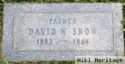 David Warner Snow