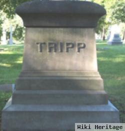 Albert E Tripp