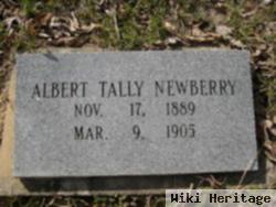 Albert Tally Newberry