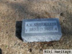 A. V. Shoemaker