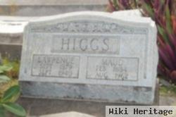 Lawrence L Higgs