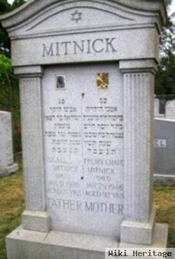 Israel Mitnick