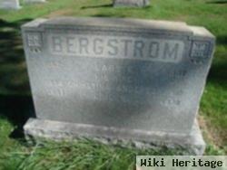 Eric Reinhold Bergstrom