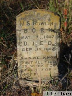 M. S. Bowlin