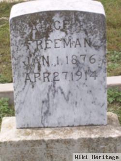 Alice E Freeman